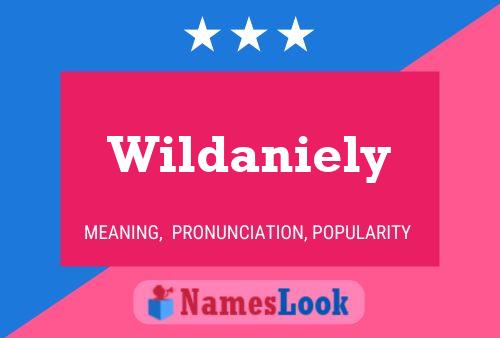 Wildaniely Name Poster