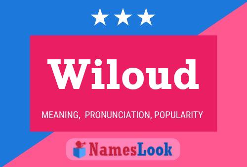 Wiloud Name Poster