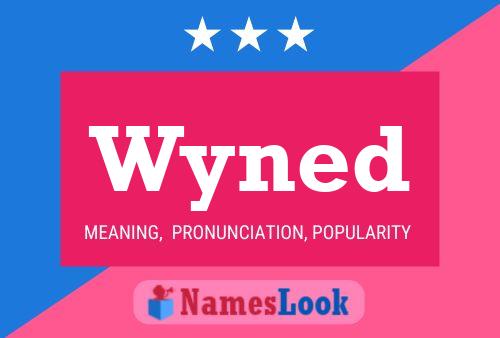 Wyned Name Poster