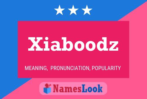 Xiaboodz Name Poster