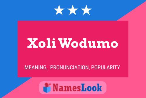 Xoli Wodumo Name Poster