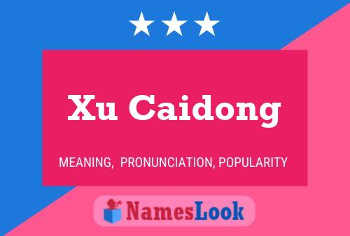 Xu Caidong Name Poster