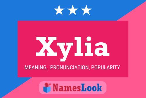 Xylia Name Poster