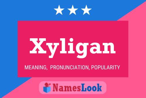 Xyligan Name Poster