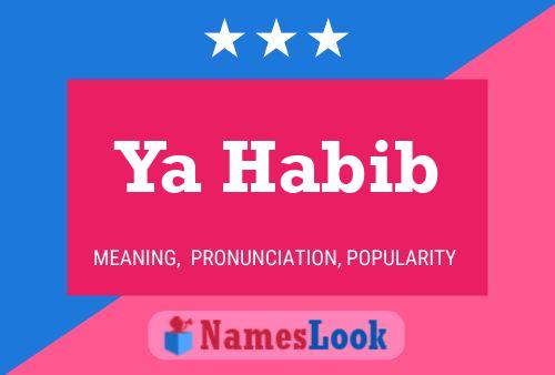 Ya Habib Name Poster