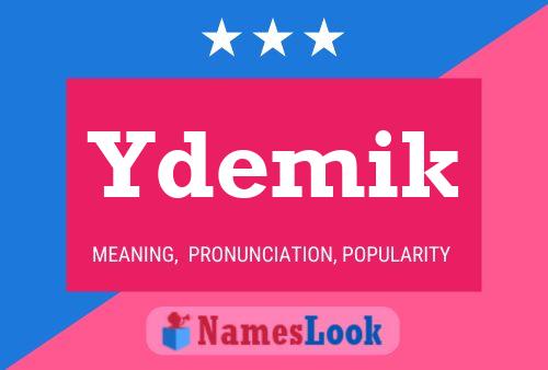 Ydemik Name Poster