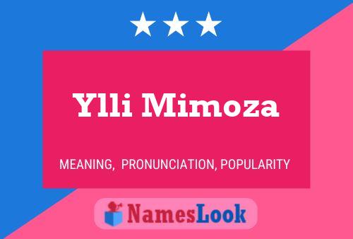 Ylli Mimoza Name Poster