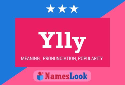 Ylly Name Poster