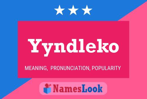 Yyndleko Name Poster