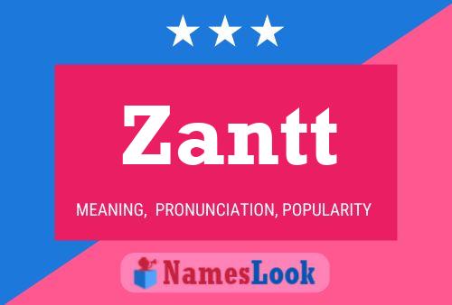 Zantt Name Poster