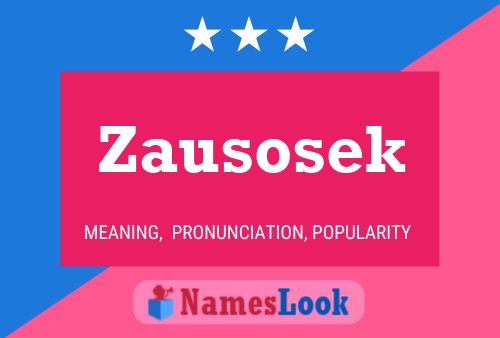 Zausosek Name Poster