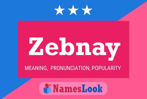 Zebnay Name Poster