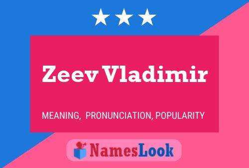 Zeev Vladimir Name Poster