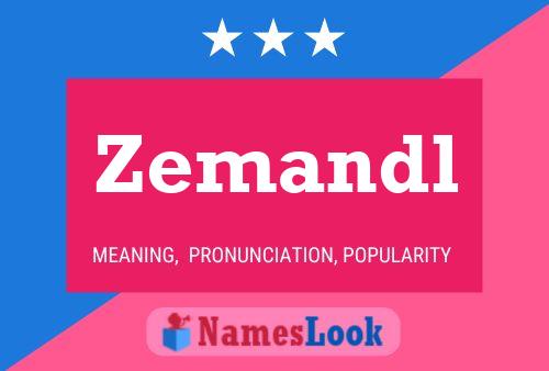 Zemandl Name Poster