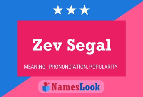 Zev Segal Name Poster