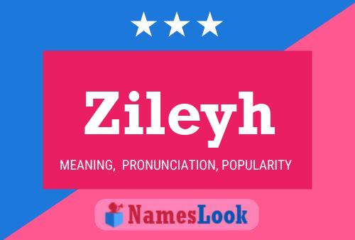 Zileyh Name Poster