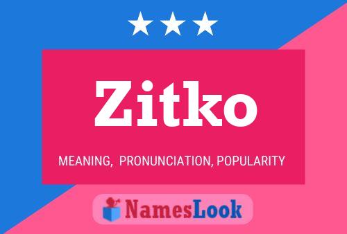 Zitko Name Poster